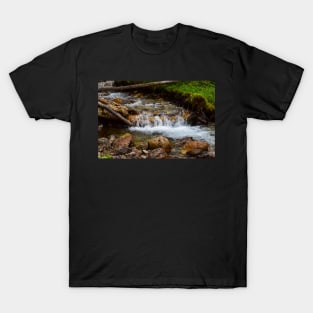 Base of Silverton Falls. T-Shirt